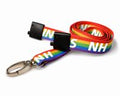15MM NHS RAINBOW LANYARDS WITH METAL LOBSTER CLIP (PACK OF 100)